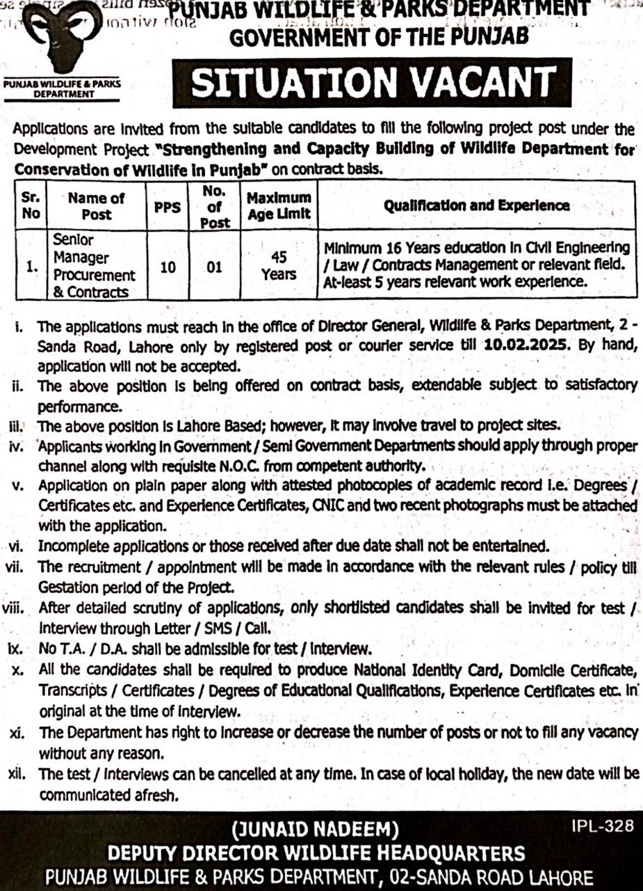 Senior Management Procurement & Contracts 